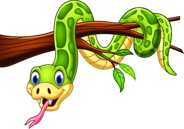 Dibujos Animados Serpiente Verde Rama Árbol — Vector de stock