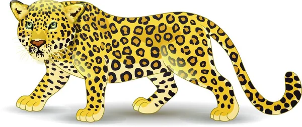 Cartoon Leopard Isolated White Background — Stock Vector