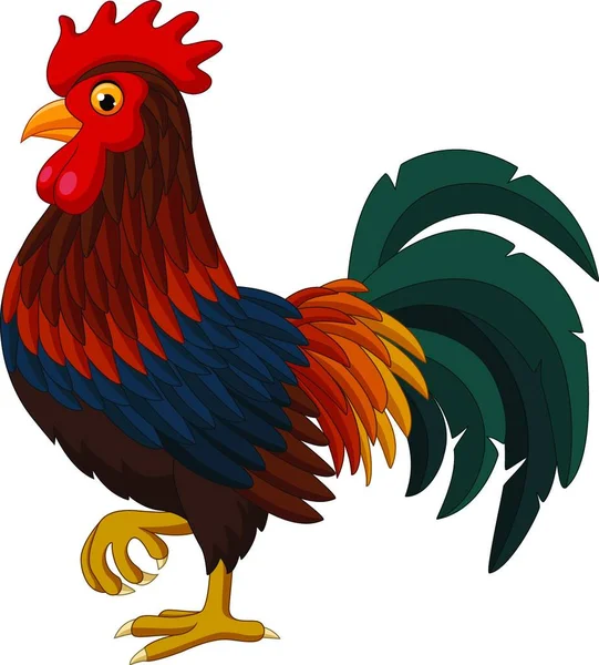 Gallo Dibujos Animados Aislado Sobre Fondo Blanco — Vector de stock