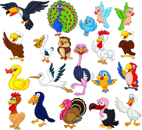 Cartoon Bird Collection Set — Stock Vector