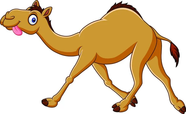 Cartoon Funny Camel Running — Stock Vector