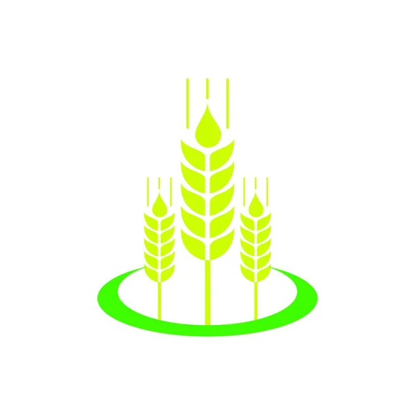 Ears Wheat Árpa Vagy Rye Vektor Vizuális Grafikus Ikonok Mezőgazdaság — Stock Vector