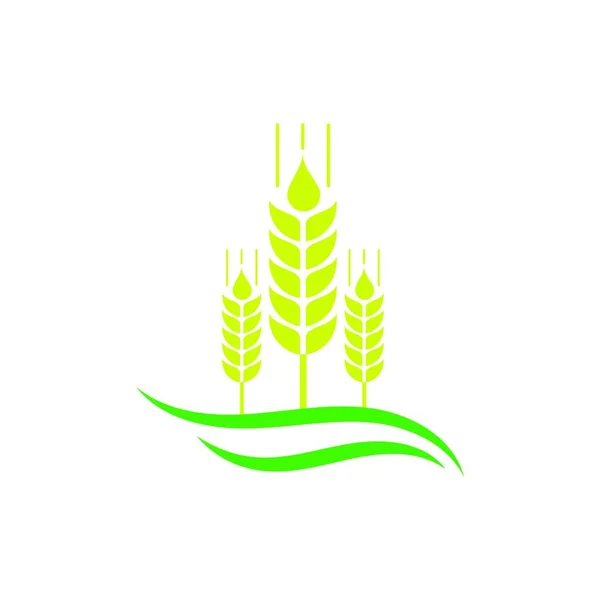 Ears Wheat Barley Rye Vector Visual Graphic Icons Agriculture Icon — Stock Vector