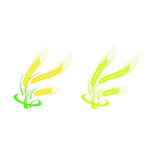 Ears Wheat Barley Rye Vector Visual Icons Agriculture Icon Vector — 스톡 벡터