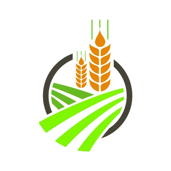 小麦大麦耳朵或黑麦矢量视觉图像图标农业图标矢量概念图解设计小麦多色图标农场元素简易图标网站 — 图库矢量图片