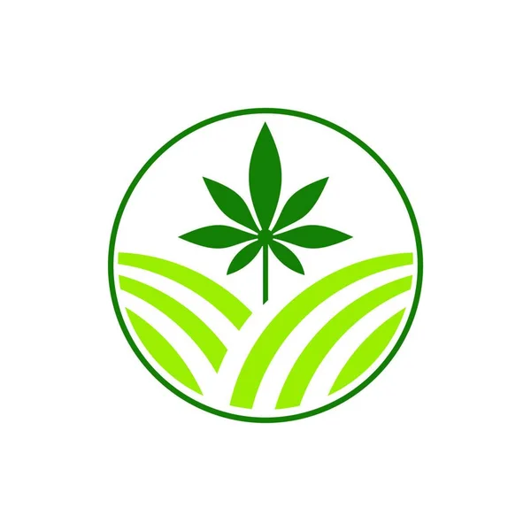 带有农田标识设计模板的大麻或大麻叶 — 图库矢量图片