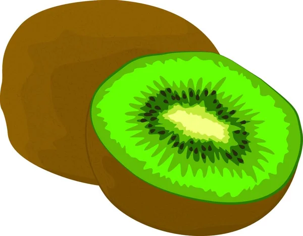 Kiwi Vectorillustratie Een Witte Achtergrond — Stockvector