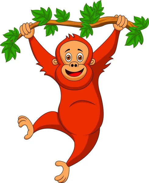 Desenhos Animados Orangotangos Bonitos Pendurados Galho Árvore — Vetor de Stock