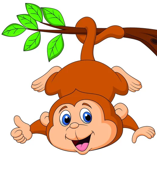 Bonito Desenho Animado Macaco Pendurado Com Polegar Para Cima —  Vetores de Stock