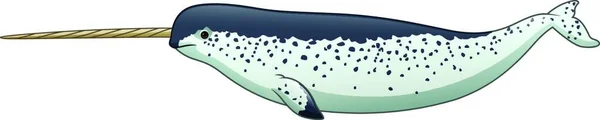 Cartoon Narwhal Isolated White Background — Stock Vector