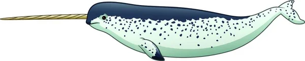 Cartoon Narwhal Isoliert Auf Weißem Hintergrund — Stockvektor