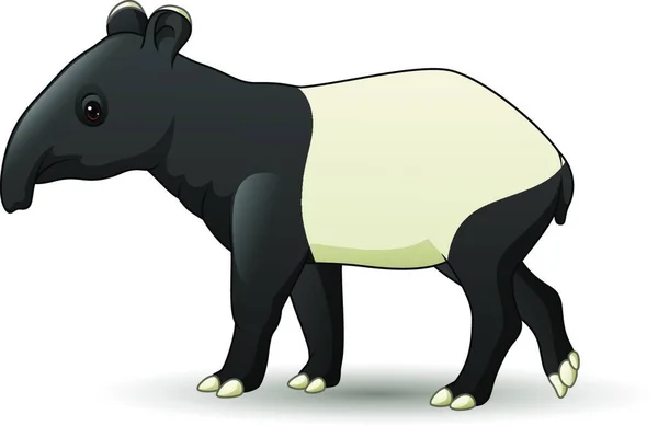 Cartoon Asian Tapir Izolowane Białym Tle — Wektor stockowy