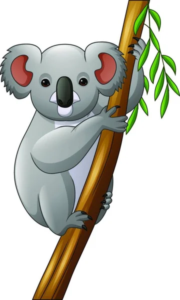 Illustration Koala Tree Branch — Stock Vector