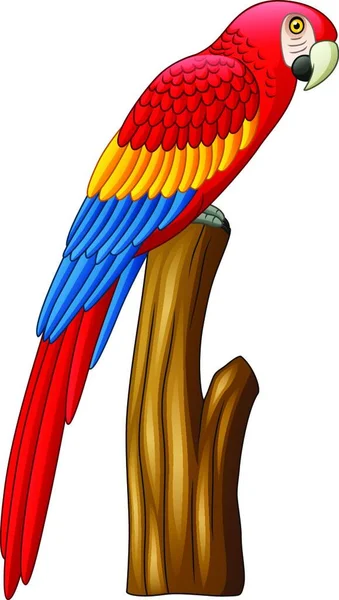 Cartoon Ładny Ptak Macaw — Wektor stockowy