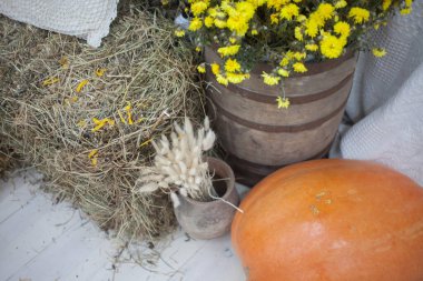Tahta bir kutuda sonbahar sebze hasadı, portakal kabağı, mısır, çiçekler. Ahırda hala hayat var.