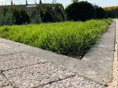 The Ground for Street Road 'daki Monotone Gray Brick Stone' un Perspektif Manzarası. Kaldırımlar, kaldırımlar, kaldırımlar, kaldırımlar, Vintage Design Meydanı Döşeme Kalıpları Arka planı, ev, çimenler