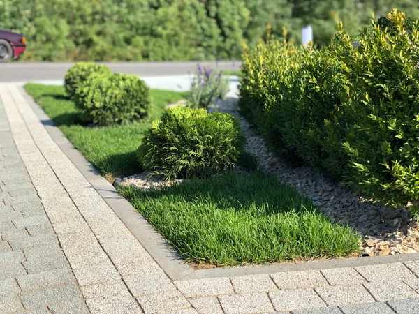 The Ground for Street Road 'daki Monotone Gray Brick Stone' un Perspektif Manzarası. Kaldırımlar, kaldırımlar, kaldırımlar, kaldırımlar, Vintage Design Meydanı Döşeme Kalıpları Arka planı, ev, çimenler