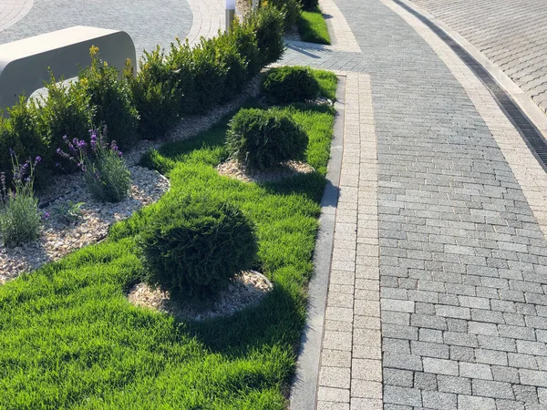 The Ground for Street Road 'daki Monotone Gray Brick Stone' un Perspektif Manzarası. Kaldırımlar, kaldırımlar, kaldırımlar, kaldırımlar, Vintage Design Meydanı Döşeme Kalıpları Arka planı, ev, çimenler