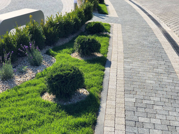 Perspective View of Monotone Gray Brick Stone on The Ground for Street Road. Sidewalk, Driveway, Pavers, Pavement in Vintage Design Flooring Square Pattern Texture Background, house, grass