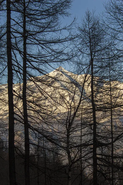 Sacred mountain Celtic behind the trees of the forest