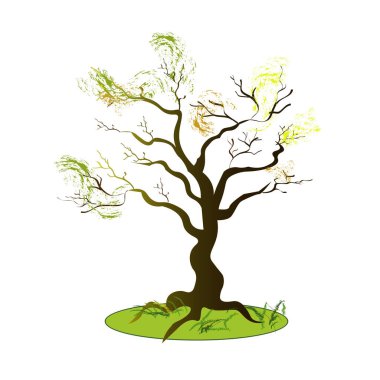 Bir ağacın yakın çekimi. Sonbahar manzarası. Beyaz arkaplanda izole edilmiş vektör illüstrasyonu. Bitkilerin yeşil dünyası. Doğa bizi kuşatıyor.. 