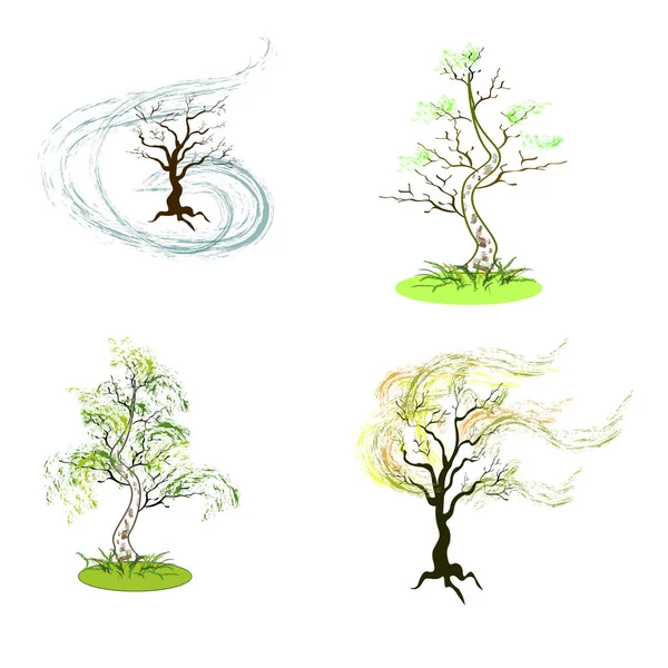 Albero in diversi periodi dell'anno. stagione estate primavera inverno zia paesaggio minimalista. illustrazione vettoriale isolata su sfondo bianco. Tempo ventoso . — Vettoriale Stock