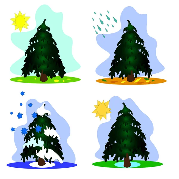 Christmas tree IN THE OTHER TIME YEARS. season summer Spring winter aunumn minimalist landscape.evergreen tree. vector illustration isolated on a white background. Windy weather. — Stock Vector
