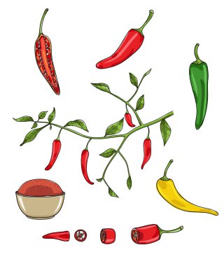 kırmızı biber set sanat illüstrasyon vektör