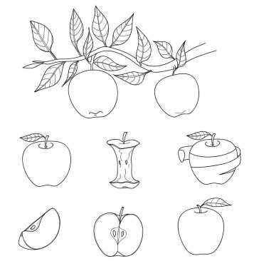 Elle çizilmiş vektör hat sanat illüstrasyon kırmızı ve yeşil elma ayarla