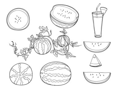 elle çizilmiş şirin çizgiyi sanat illüstrasyon vektör kümesi karpuz