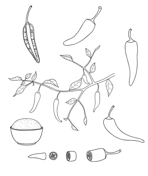 Zestaw linii art ilustracja wektorowa papryczki chilli — Wektor stockowy