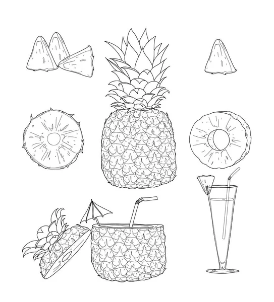菠萝。水果矢量集的线艺术手工绘制可爱的卡通 il — 图库矢量图片