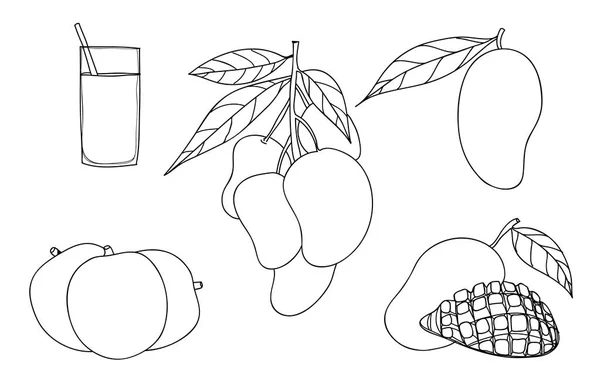 矢量芒果设置手绘可爱线条艺术插图 — 图库矢量图片