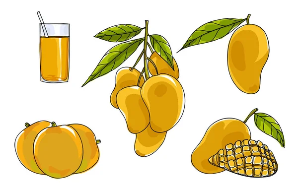 Vektor Mango Set Hand gezeichnet niedlich Kunst Illustration — Stockvektor