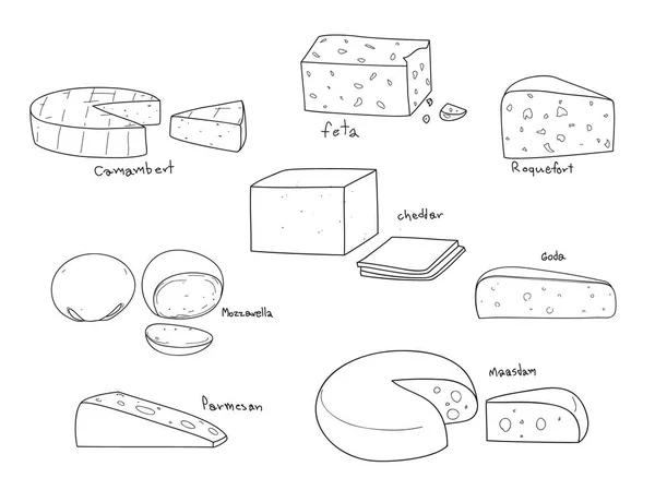 Genere popolare di formaggio vettore set disegnato a mano linea arte illustrati — Vettoriale Stock