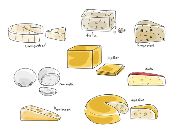 Tipo popular de queijo vetor conjunto mão desenhada arte ilustração — Vetor de Stock