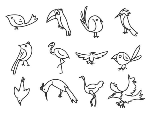 Icono de pájaro mano deawn vector set línea arte ilustración — Vector de stock