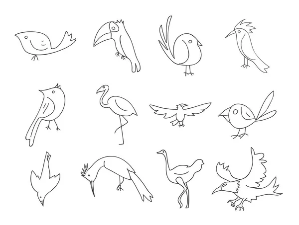 Pták tenká linie ikona ruky deawn vektorové nastavené linie umění ilustrace — Stockový vektor