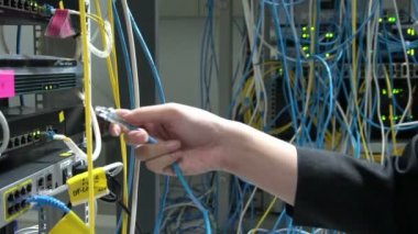 Sunucu odasında çalışan Asyalı mühendis, teknik verileri kontrol ediyor. 
