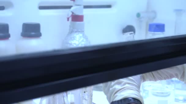 Male Scientist Working Laboratory — Stock Video