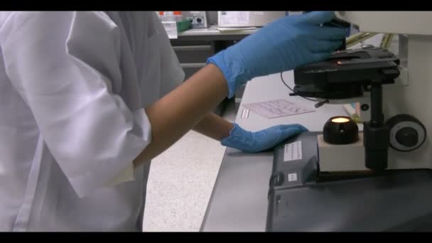 在实验室工作的科学家的近照 — 图库视频影像