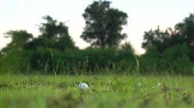 Erkek golfçü çimenli alanda golf oynuyor