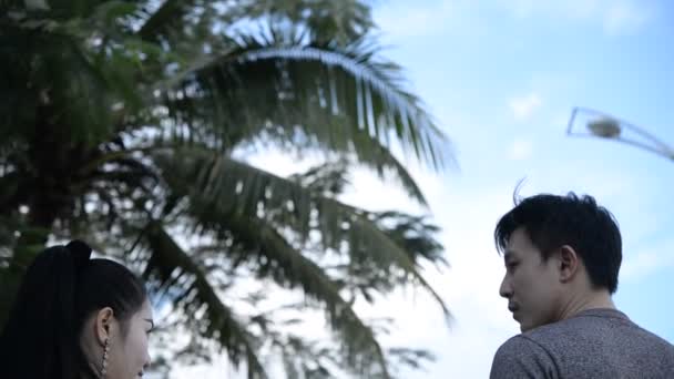 Encantador Casal Desfrutando Dia Verão Parque — Vídeo de Stock