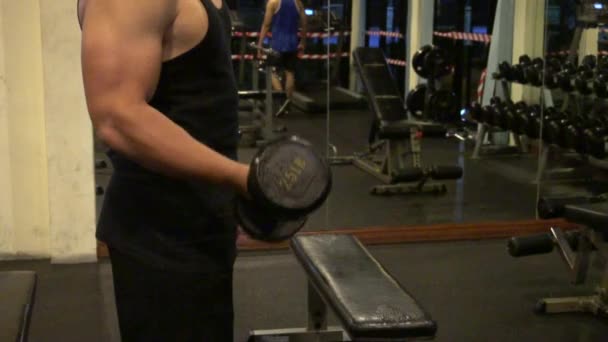 Retrato Hombre Asiático Musculoso Entrenando Gimnasio Entrenamiento Peso Corporal — Vídeo de stock