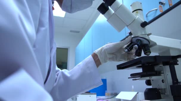 Male Scientist Working Laboratory — Stock Video