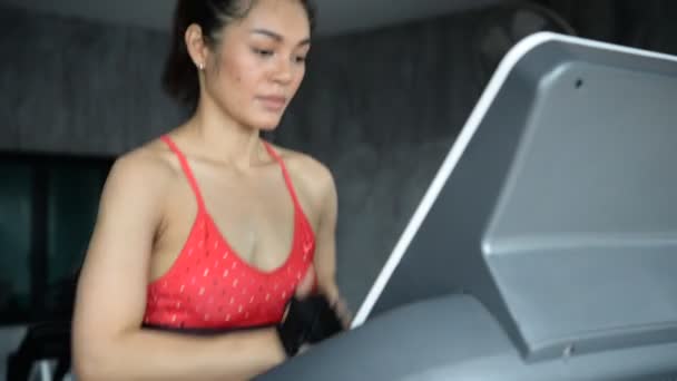 Asiático Esportivo Mulher Formação Ginásio Treino Vídeo — Vídeo de Stock