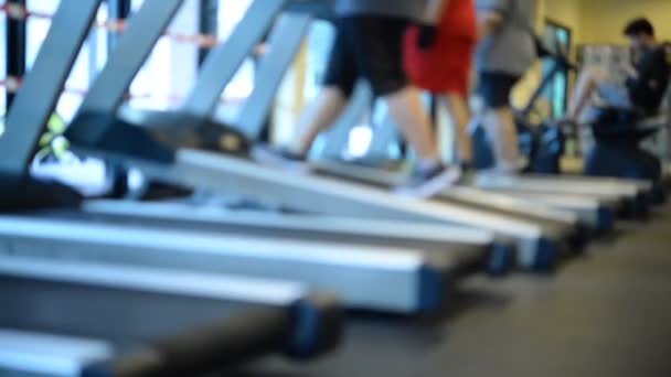 Portrait Muscular Asian Man Training Gym Body Weight Workout — Stock Video