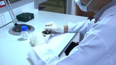 erkek bilim adamı laboratuarda çalışıyor.