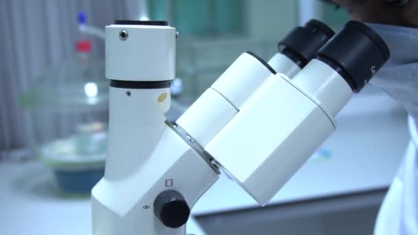 研究室で働く男性科学者 — ストック動画