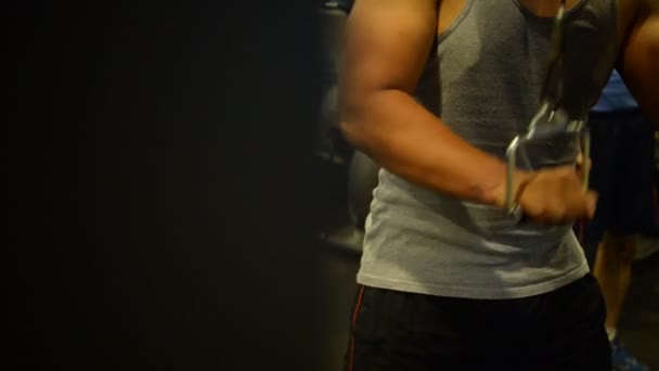 Retrato Musculoso Asiático Homem Formação Ginásio Exercício Peso Corporal — Vídeo de Stock